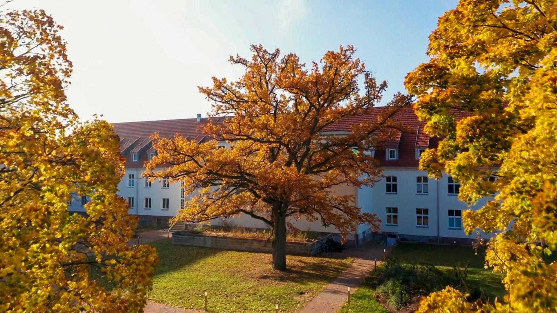 Parkresidenz Lychen, Ferienwohnung 8 Εξωτερικό φωτογραφία