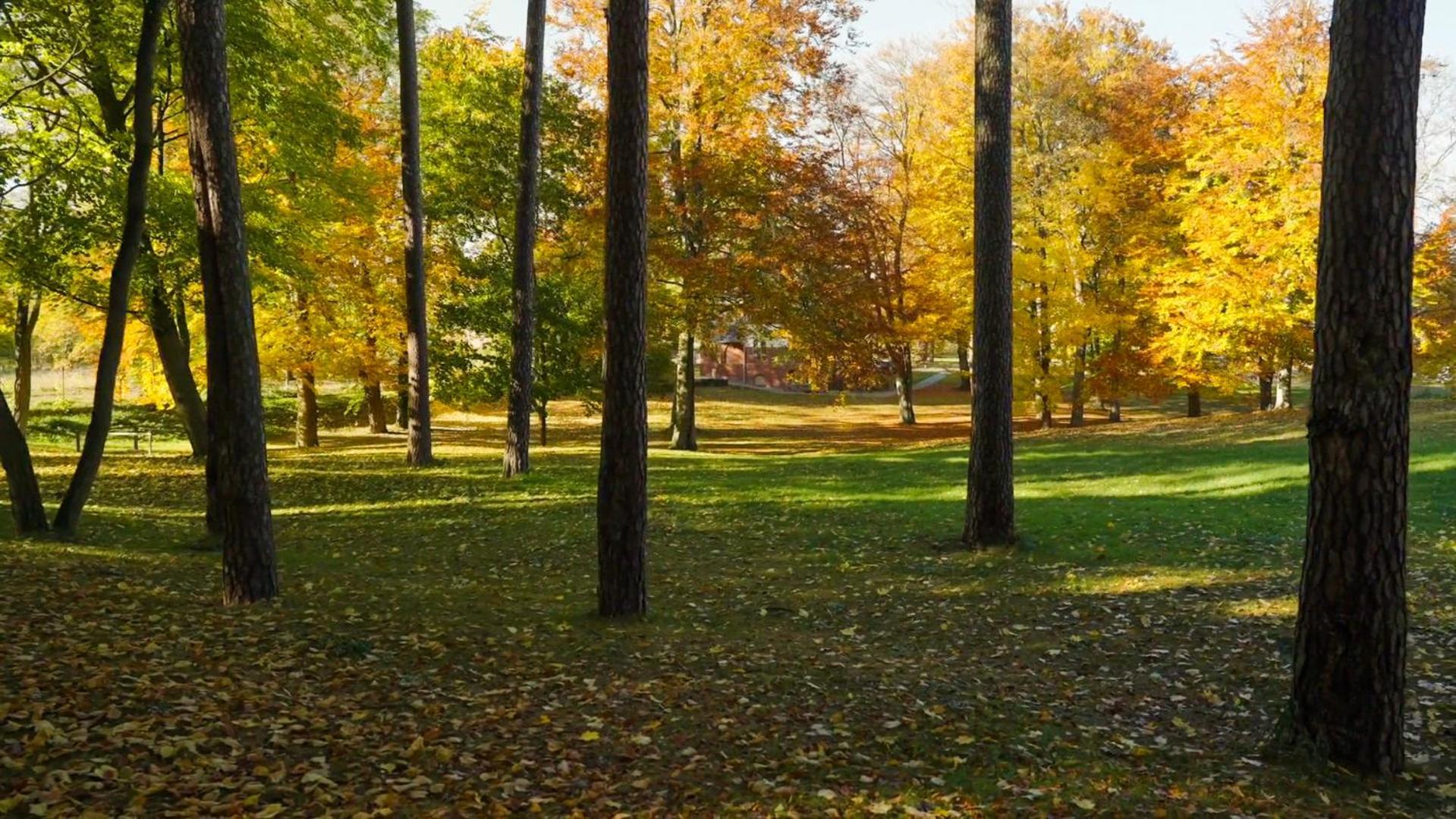 Parkresidenz Lychen, Ferienwohnung 8 Εξωτερικό φωτογραφία